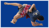 Fight Training Videos